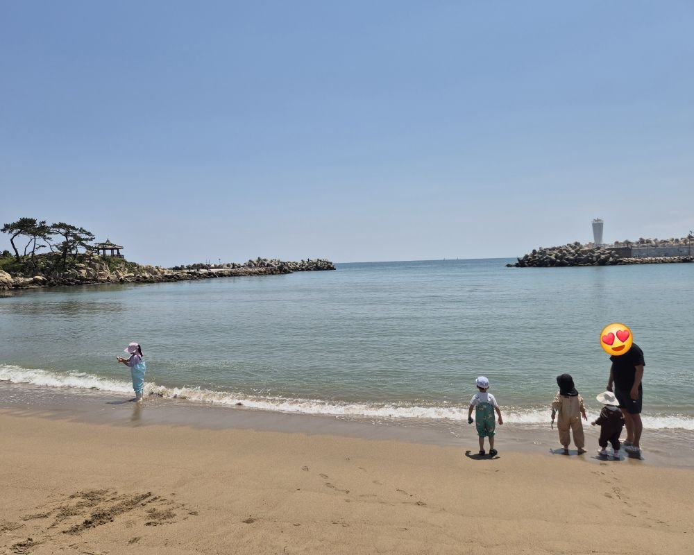 초초근접 바다백사장 산책